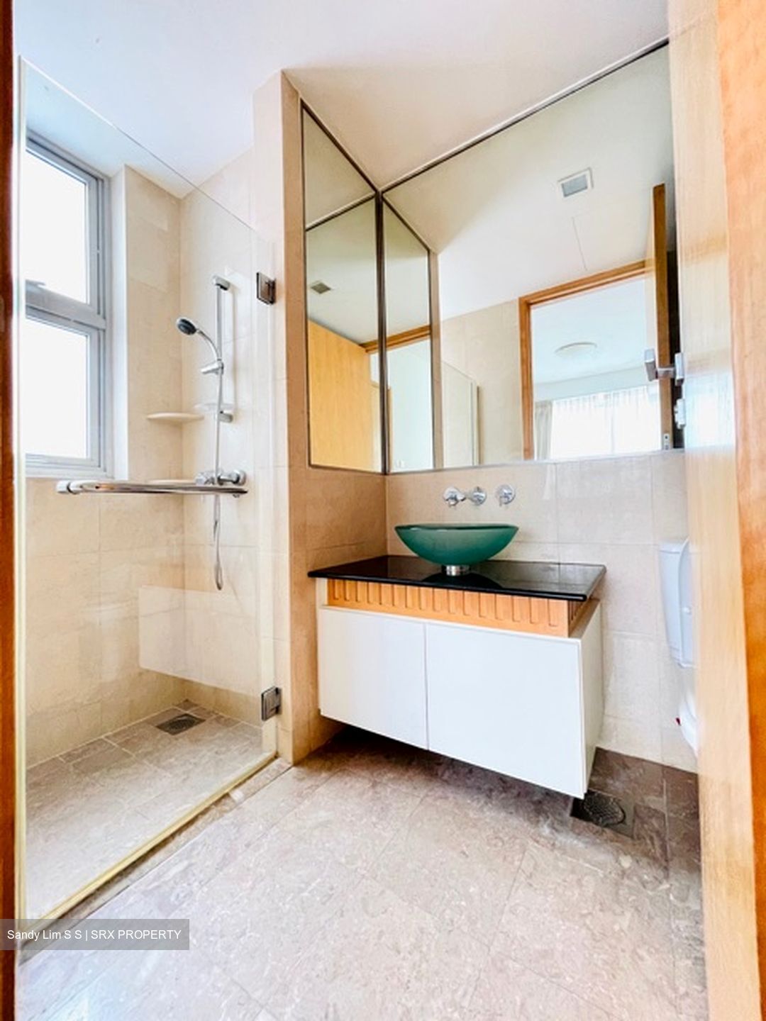 Cairnhill Crest (D9), Condominium #555163511